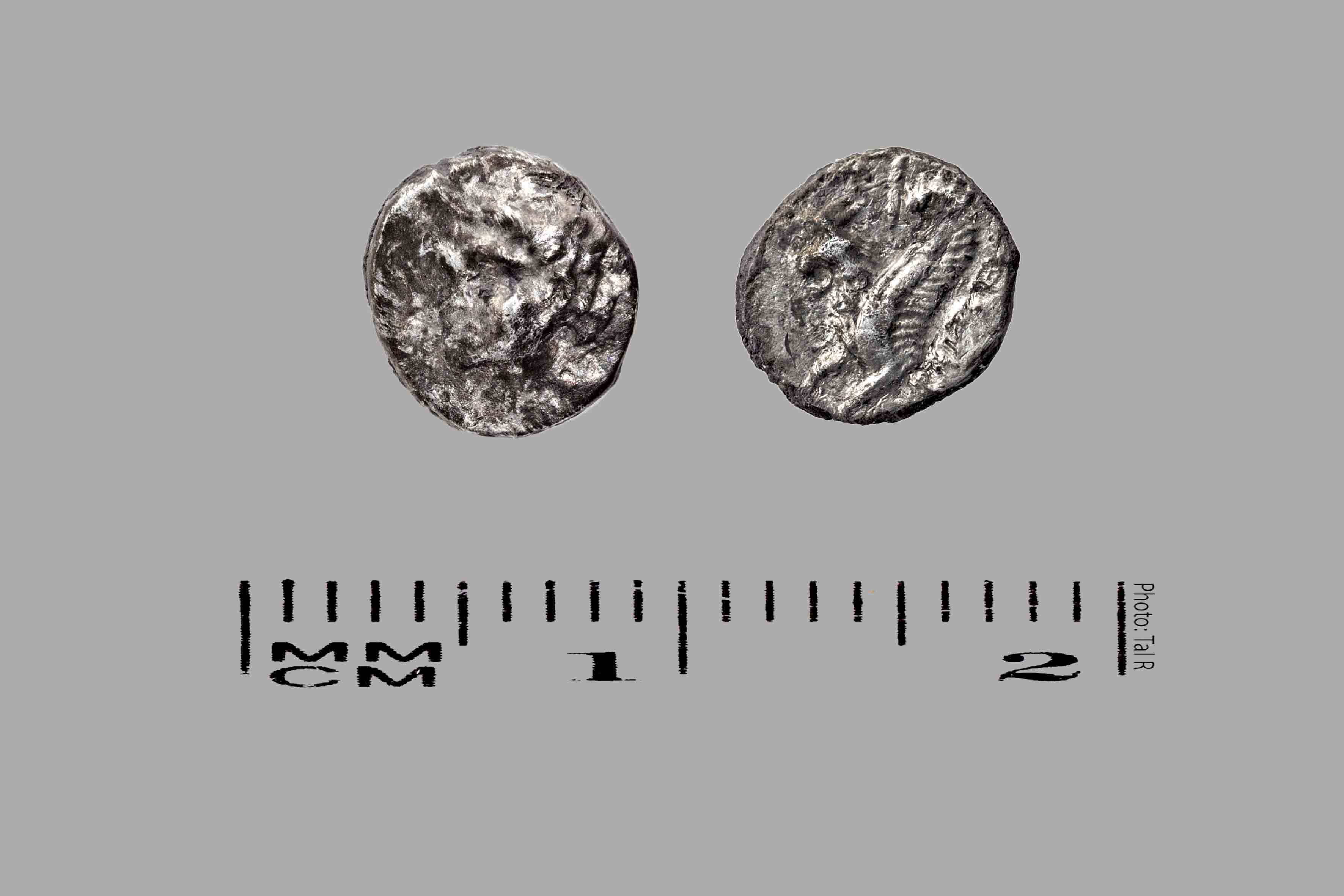 coin stripling