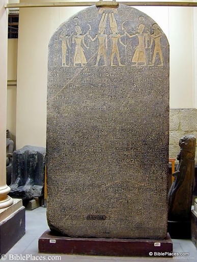Top Ten Discoveries picture 12