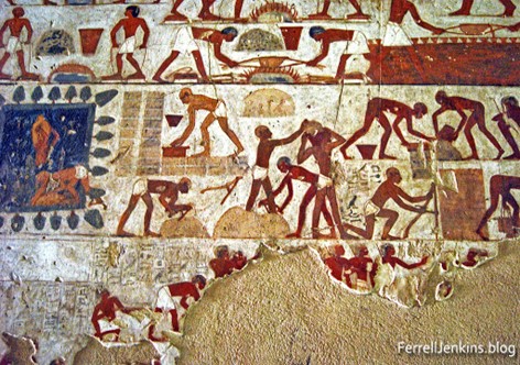 Top Ten Discoveries picture 5