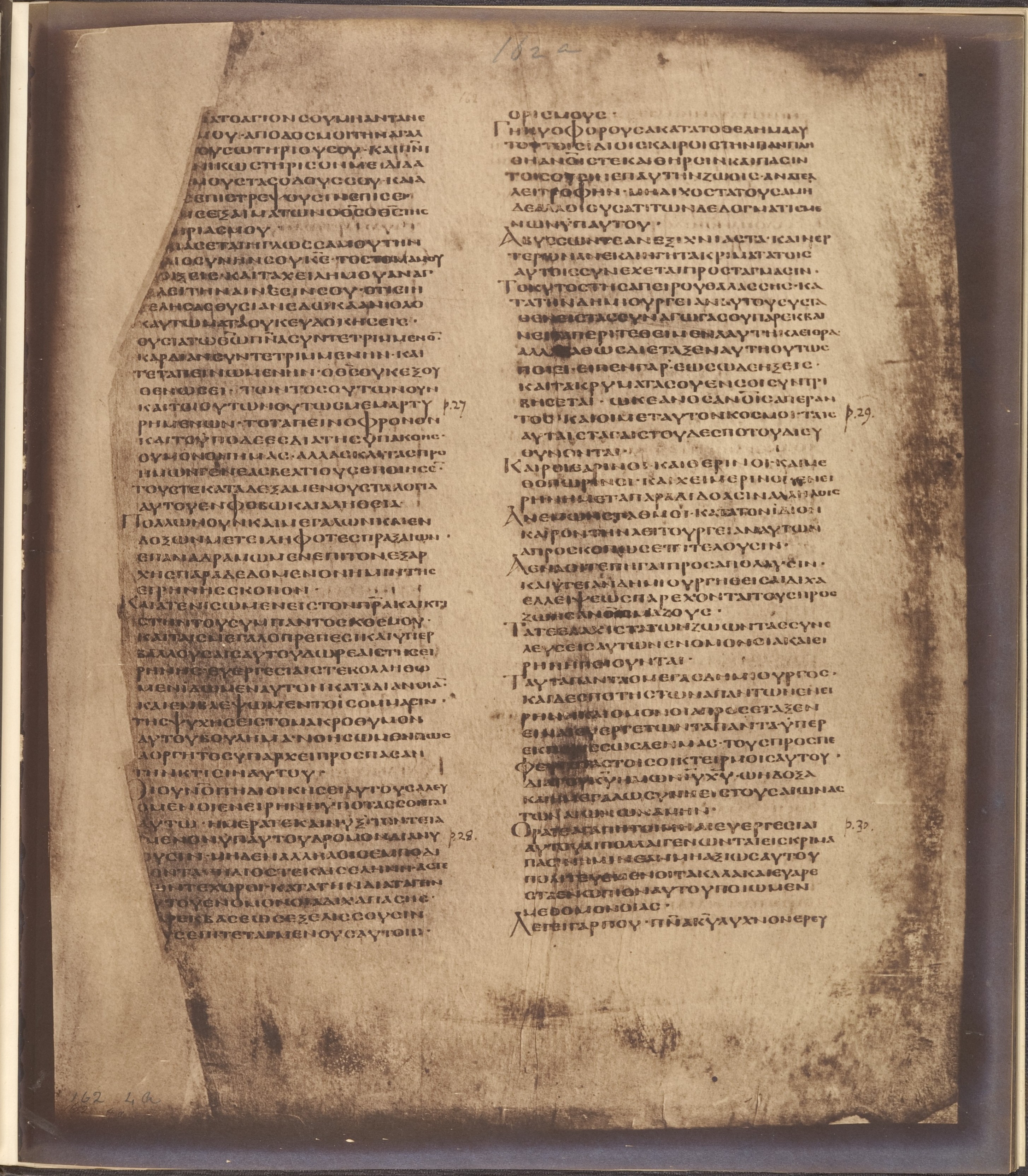 Windle image 1