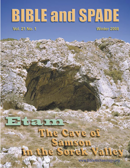 2008 B&S Cover Medium