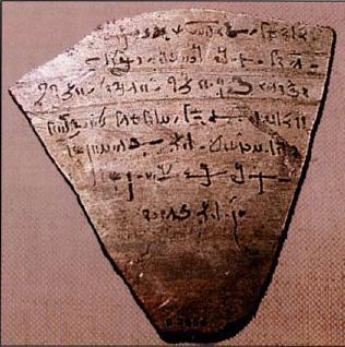 Ostracon copy copy