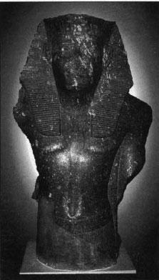 Sesotris copy