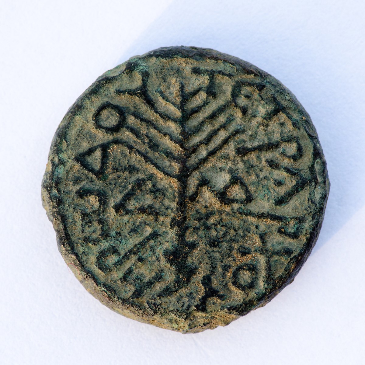 Coin of Herod Antipas bibleplaces