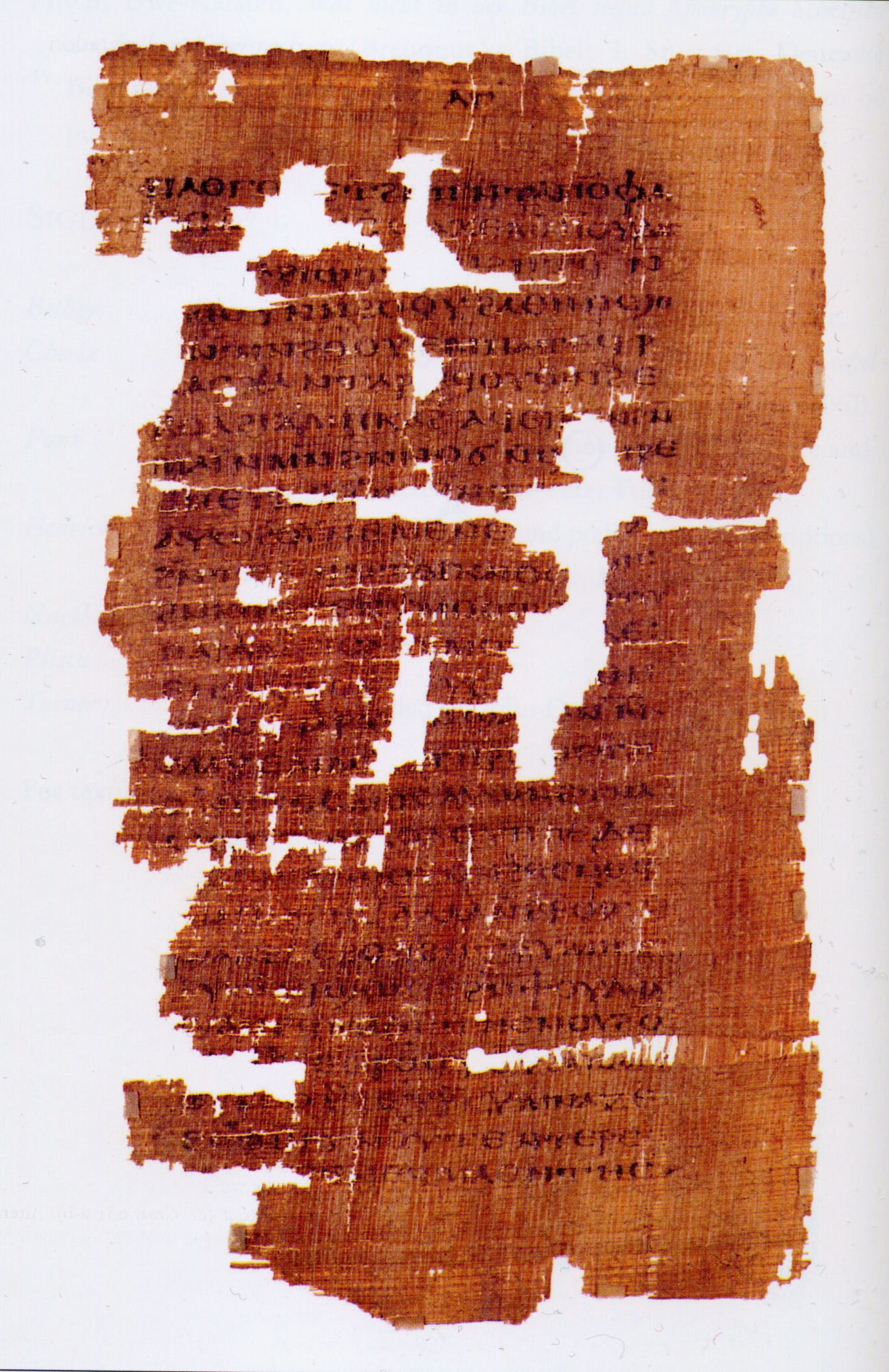 Codex Tchacos p33 Wikimedia
