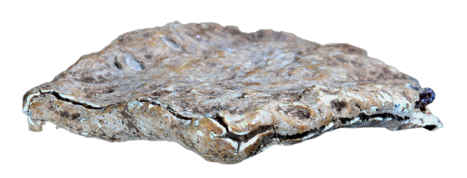 Curse tablet transparent background cropped