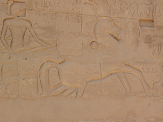 Seti Relief 2