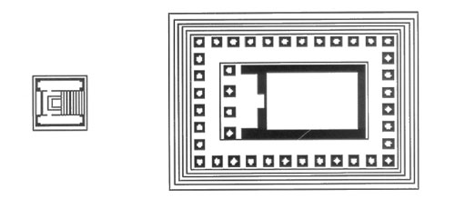 KINGANDIDOMATIAN image 11