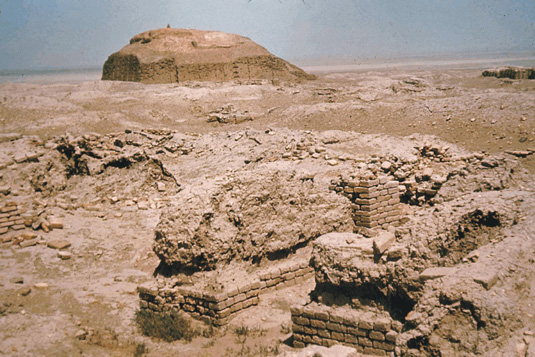 TOBEVEDENC image 1