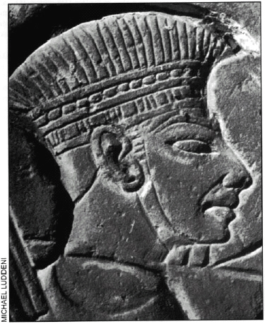 image.axd105